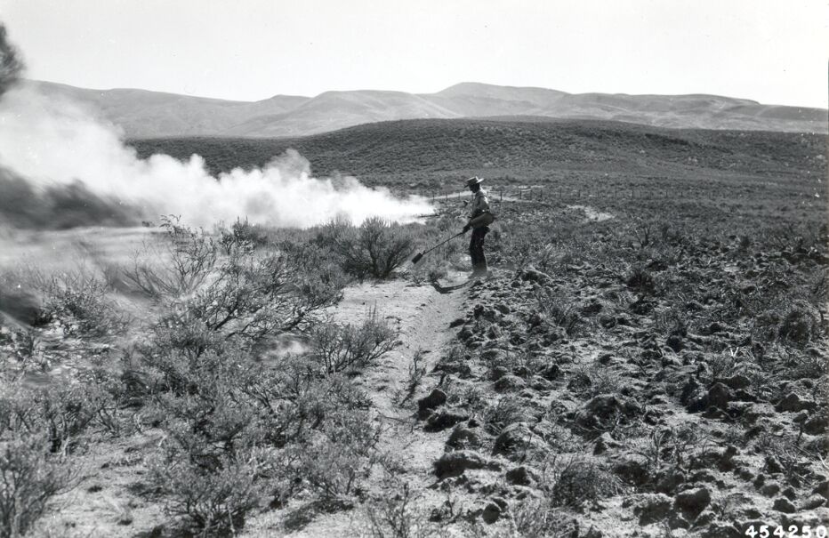 Wicked problems: How we get stuck knowing risks exist but not knowing what to do about&nbsp;them.